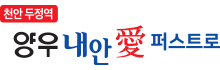 천안 두정역 양우내안애